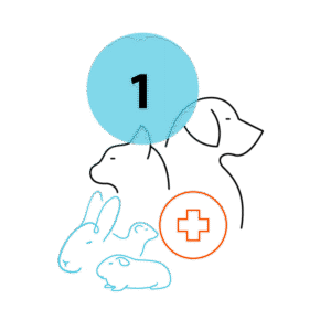 PawDoc Urgent Care Step 1 icon for Veterinary Care for Dogs, Cats and Pocket Pets