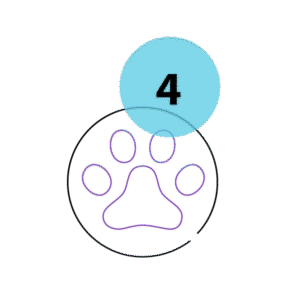 PawDoc-Urgent-Veterinary-Care-Step-4.png